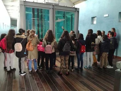 45 mozos e mozas participarn no III Intercambio Cultural Oia-Oi