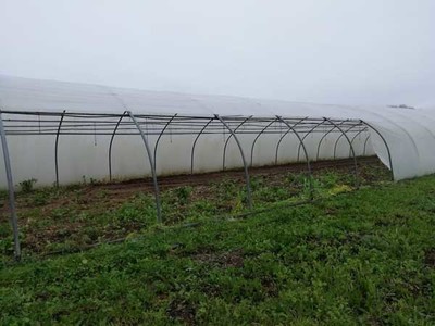 Robo en el invernadero de la Asociacin Conrazones de A Guarda