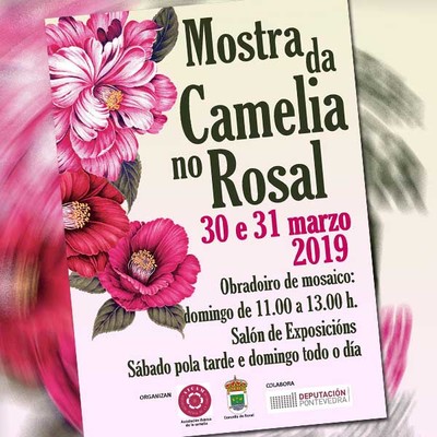 O Rosal acolle esta fin de semana a Mostra da Camelia 2019