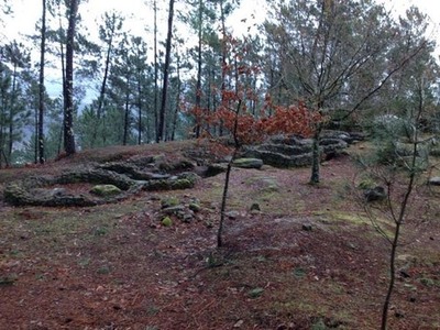 Mis de 850 persoas da provincia escolleron as excursins pola comarca do Baixo Mio no marco do programa -En ruta coa depo 2019-