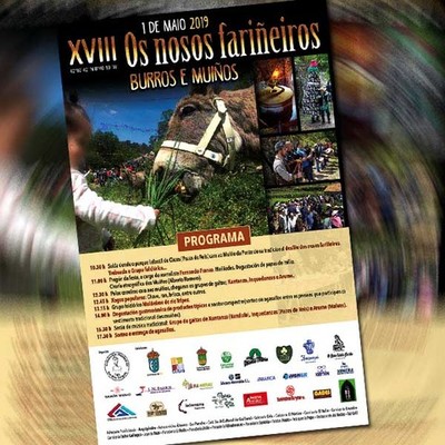 A XVIII edicin de -Os Nosos Farieiros, Burros e Muios- chega a Tui este mrcores