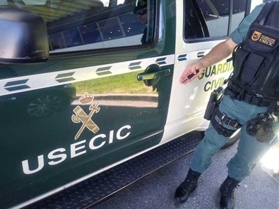 La Guardia Civil detiene a un vecino de A Guarda por trfico de drogas a pequea escala 