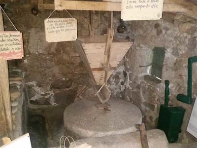Coece os Muos do Ro Tripes en Tui con rutas diarias ata este domingo