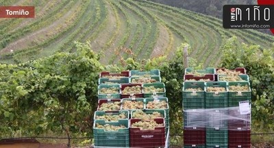 Delegados de todas las zonas francas de Espaa se interesan por el funcionamiento de Altos de Torona