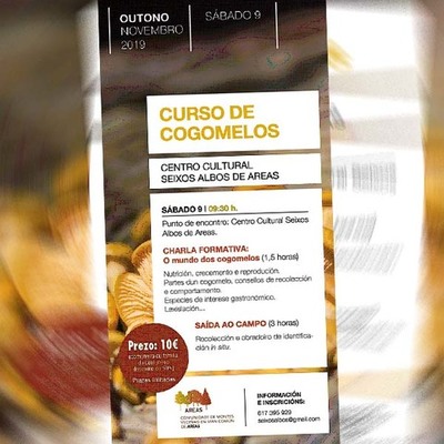 A Comunidade De Montes de Areas organiza un Curso de Cogumelos o 9 de novembro