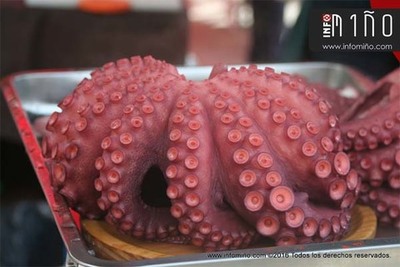 Degustacin -A Gastronoma galega fai camio- no Camio Portugus da Costa