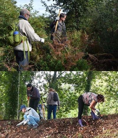 O Concello de Tomio recupera a vexetacin natural da zona da Atalaia, prxima  Ponte da Amizade, para crear un novo espazo verde