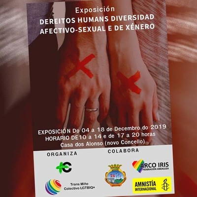 Exposicin -Dereitos humanos e diversidade afectivo-sexual e de xneros- na Guarda