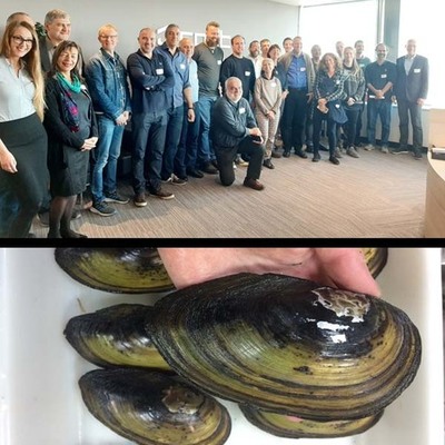 No Ferreira representa a Espaa na reunin de lanzamento do proxecto europeo CONFREMU