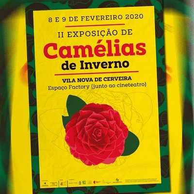 Cerveira celebra riqueza art�stica, cultural e biol�gica da Cam�lia Jos� Rodrigues e de outras esp�cies