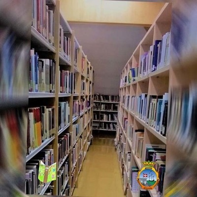 A Biblioteca Pblica Municipal da Guarda convida a celebrar o Da do Libro 2020