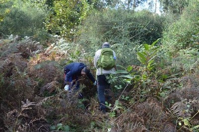 Tomio estuda a sa superficie de faixas secundarias a incluir no  Plan Municipal de Prevencin e Defensa contra Incendios Forestais 