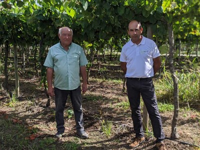 En Vias e Terras do Pazo disean a viticultura do futuro