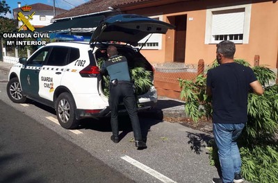 La Guardia Civil desmantela una plantacin -indoor- de marihuana en Tui 