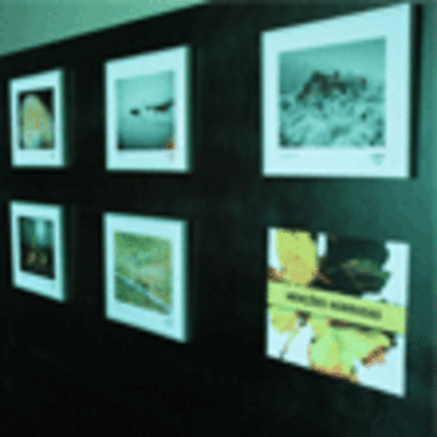 ESPECIAL - EXPOSICIN CONCURSO FOTOGRAFA DA NATUREZA EN VILANOVA DE CERVEIRA