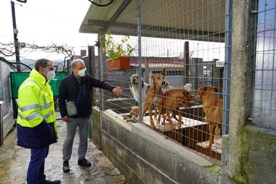 O alcalde de Tui visitou as instalacins do refuxio de animais onde viven actualmente 85 cans