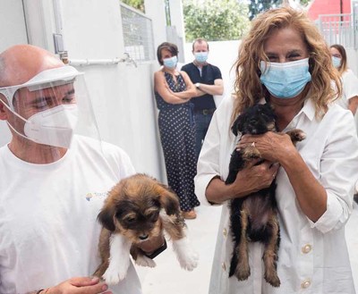 O CAAN da Deputacin de Pontevedra xa as 500 adopcins neste 2020
