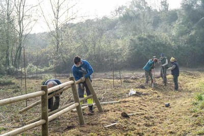 O Concello de Tomio contina o labor de recuperacin ambiental da ribeira do Mio