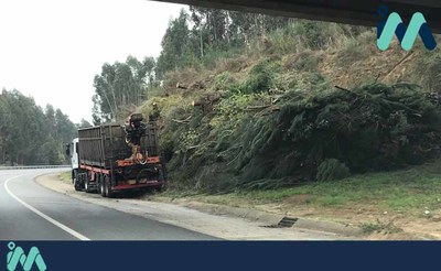 A Xunta contina esta semana cos traballos de roza e limpeza na CG-4.2 entre Tomio e A Guarda