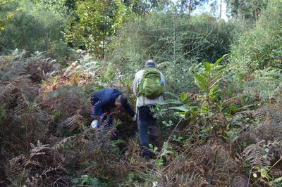 Tomio abriu expediente a mis de 300 parcelas en 2020 por incumprir a lei de prevencin de incendios ou a ordenanza de biomasa 