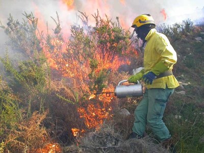 Valena Faz Queimadas Para Travar Incendios Florestais
