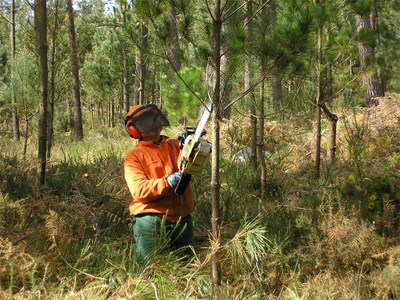 A partir de este jueves podrn solicitarse de nuevo los permisos para realizar quemas de restos agrcolas y forestales acopiados