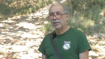 La bioeconoma como oportunidad para  el sector forestal: 8 entrevistas en vdeo