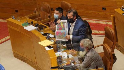 O BNG pide paralizar -cautelarmente- os parques elicos e facer  unha avaliacin do impacto conxunto dos proxectos e non de cada parque por separado