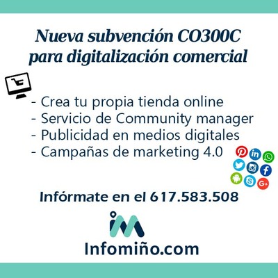 Subvencin CO300C - Subvencins para a innovacin, a dixitalizacin e a implantacin de novas frmulas de comercializacin e expansin do sector comercial