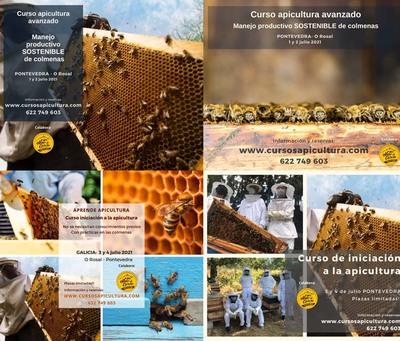 Prximos Cursos de Apicultura en O Rosal para el mes de julio de 2021