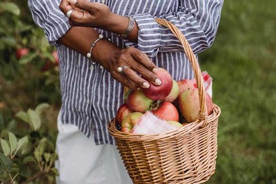 A Xunta aprende aos nenos e nenas de Tomio a plantar froitas e verduras coa instalacin dun invernadoiro para o Colexio Rural Agrupado e coa entrega de carrios de cultivo a dous colexios