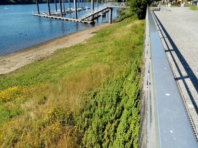 C21 lamenta el absoluto abandono de la Playa Fluvial en el entorno de la Marina y solicita la inmediata gestin para que se lleve a cabo su recuperacin