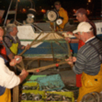 ESPECIAL - CANDO AS SARDIAS CHEGAN  PORTO DE A GUARDA