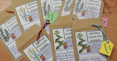 O alumnado do CEIP de Rebordns preparou sobres con plantas medicinais para os peregrinos