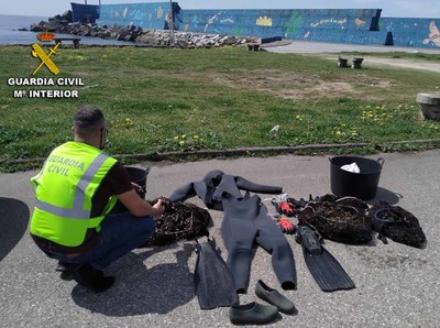 La Guardia Civil detiene a los integrantes de un grupo organizado de mariscadores furtivos en el sur de la provincia de Pontevedra