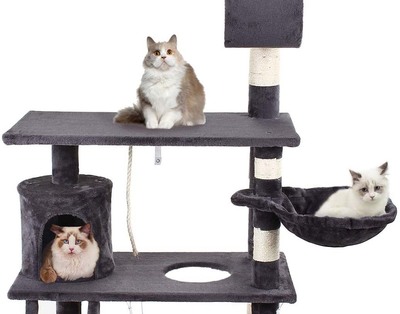 Top ten: Artculos para gatos