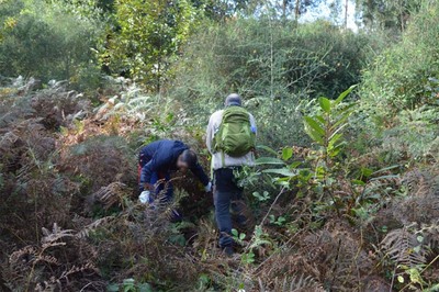 Tomio pisa o acelerador na prevencin de incendios das parroquias de Tomio e Forcadela