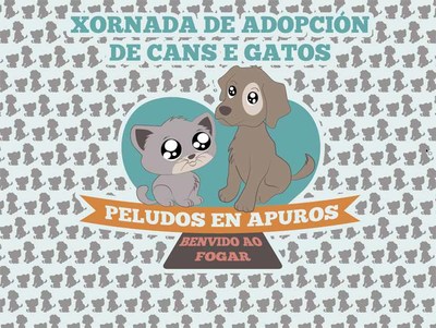 A OMIX de Tomio organiza unha xornada de adopcin canina e felina, este sbado na Praza do Seixo