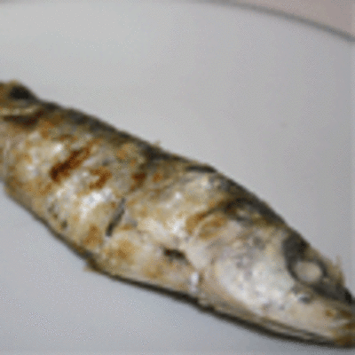 ESPECIAL - FESTA DO MAR E DA SARDIA 2011 EN VILA PRAIA DE ANCORA