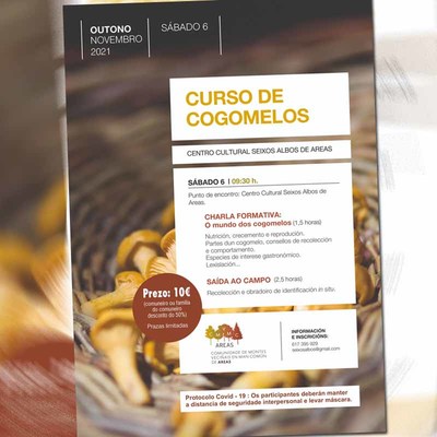 Curso de Cogomelos o 6 de novembro en Tui
