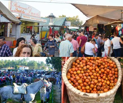 Est de regresso a Feira dos Santos de Cerdal em Valena