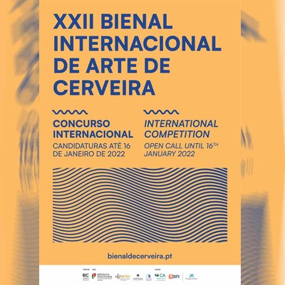 XXII Bienal Internacional de Arte de Cerveira: concurso internacional aberto