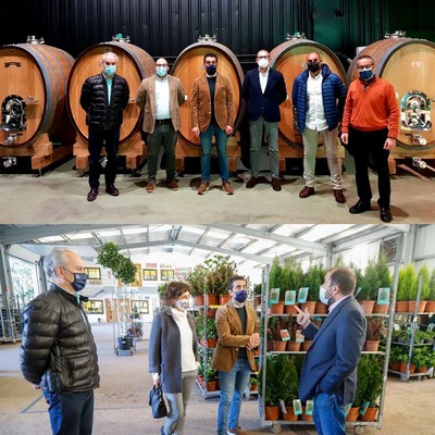 A Xunta apoia proxectos piloto de novos produtos e tecnoloxas en bodegas Terras Gauda e comercializadora de plantas de Galicia