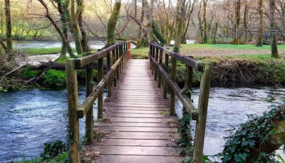 Alumnos do CEIP Refoxos (Oia) e CEIP Plurilingüe Nº1 (Tui) participan en -Escola Verde- Alumnos do CEIP Refoxos (Oia) e CEIP Plurilingüe Nº1 (Tui) participan en -Escola Verde-