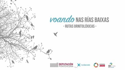 A Deputacin abre o prazo para inscribirse na ltima das rutas ornitolxicas Voando nas Ras Baixas