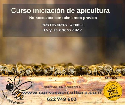 Curso de Iniciacin a la Apicultura para el mes de enero en O Rosal