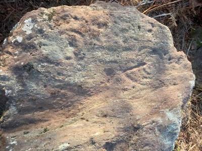 Descubrimento dun novo petrglifo no Rosal