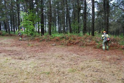 La Xunta incorpora 627 nuevos efectivos fijos discontinuos de 9 meses para realizar labores de prevencin y extincin de incendios forestales