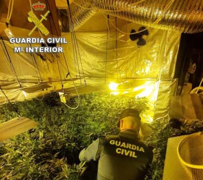 La Guardia Civil desmantela una plantacin indoor de marihuana en una vivienda alquilada en Tomio