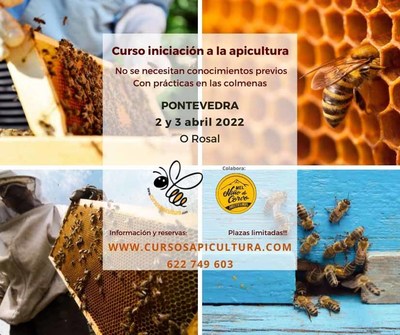 Curso de Iniciacin a la Apicultura para el mes de abril en O Rosal